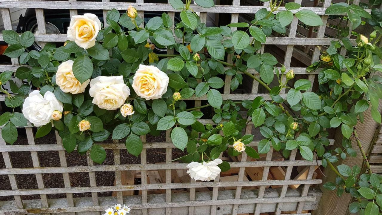 59 Chaucer Apartment 케임브리지 외부 사진